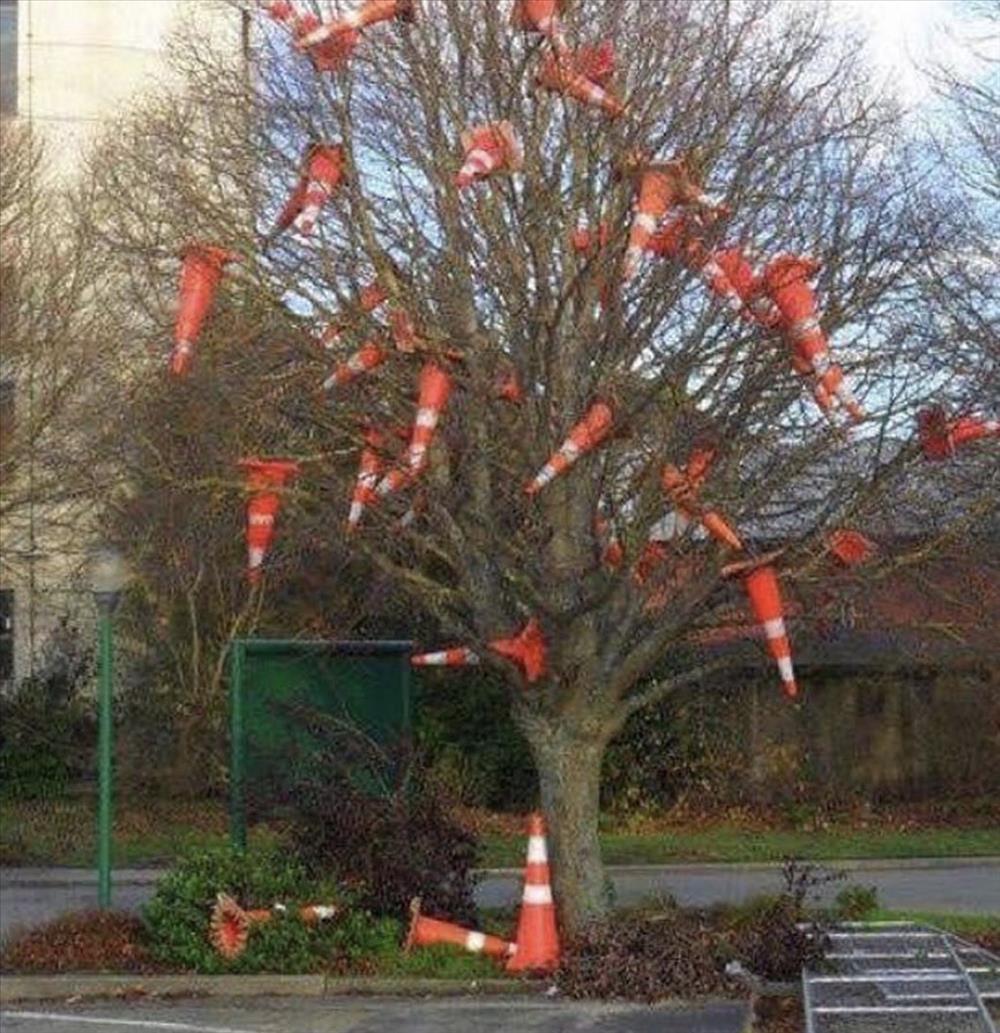 Cones
